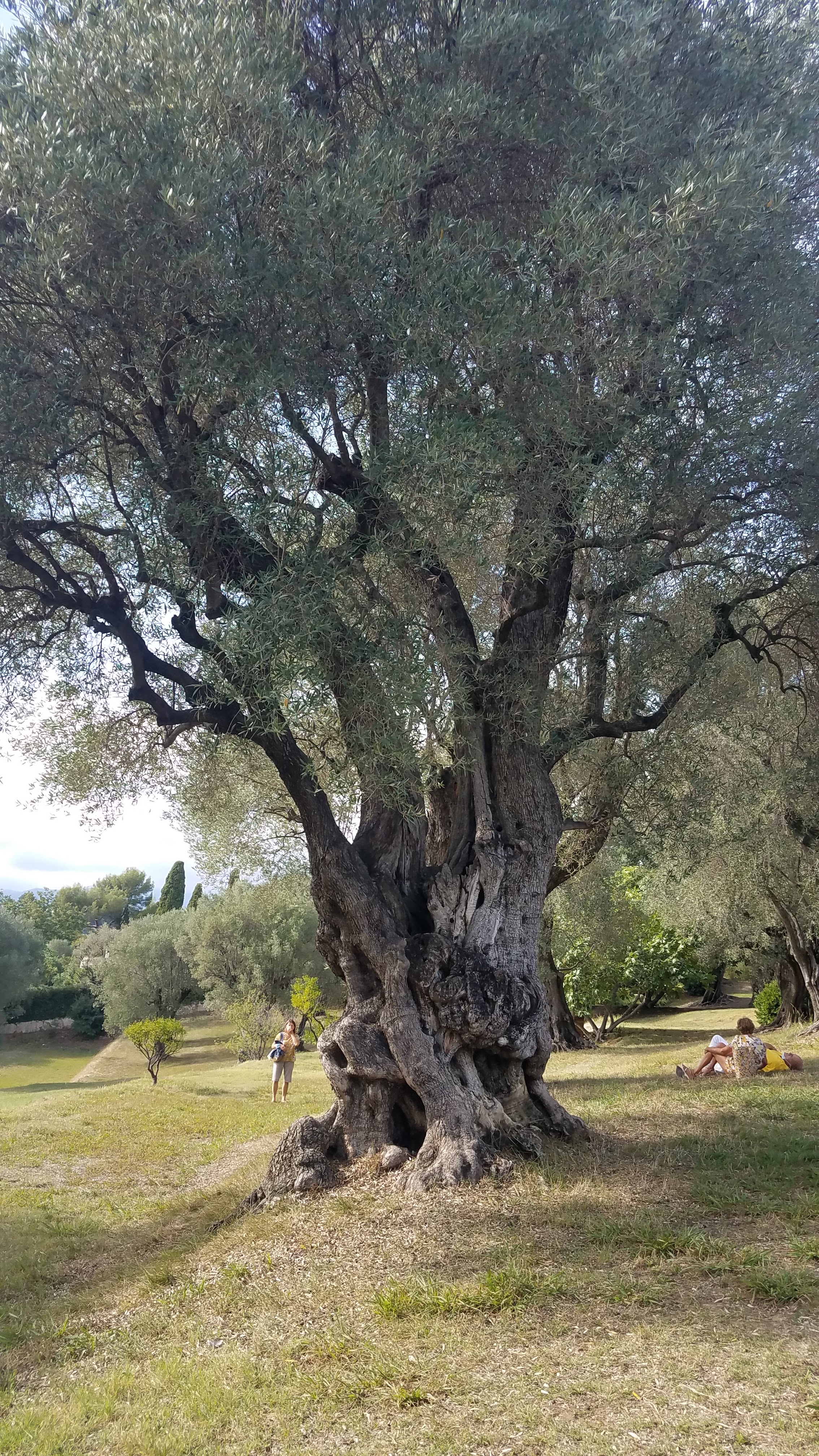 Photo n° 7 de l'avis de Christophe.e fait le 21/09/2021 à 15:33