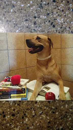 Pet Supply Store «PetSmart», reviews and photos, 6060 Long Prairie Rd, Flower Mound, TX 75028, USA