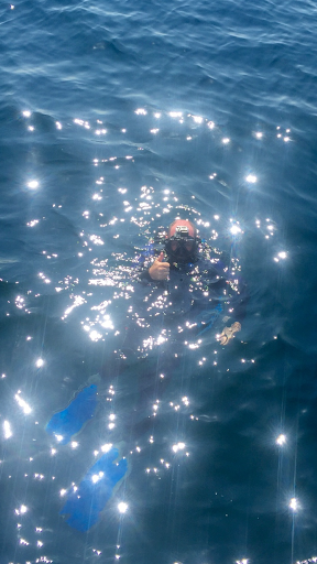 SCUBA Instructor «Sonny Side of Scuba», reviews and photos, 4601 Central Ave, Columbus, IN 47203, USA