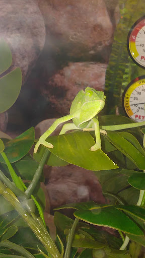 Pet Supply Store «Petco Animal Supplies», reviews and photos, 1049 S Willow St, Manchester, NH 03103, USA