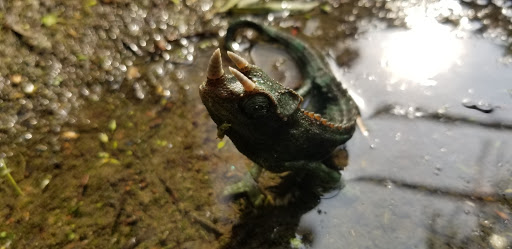 Pet Supply Store «Petco Animal Supplies», reviews and photos, 1410 N Loop 336 W, Conroe, TX 77304, USA