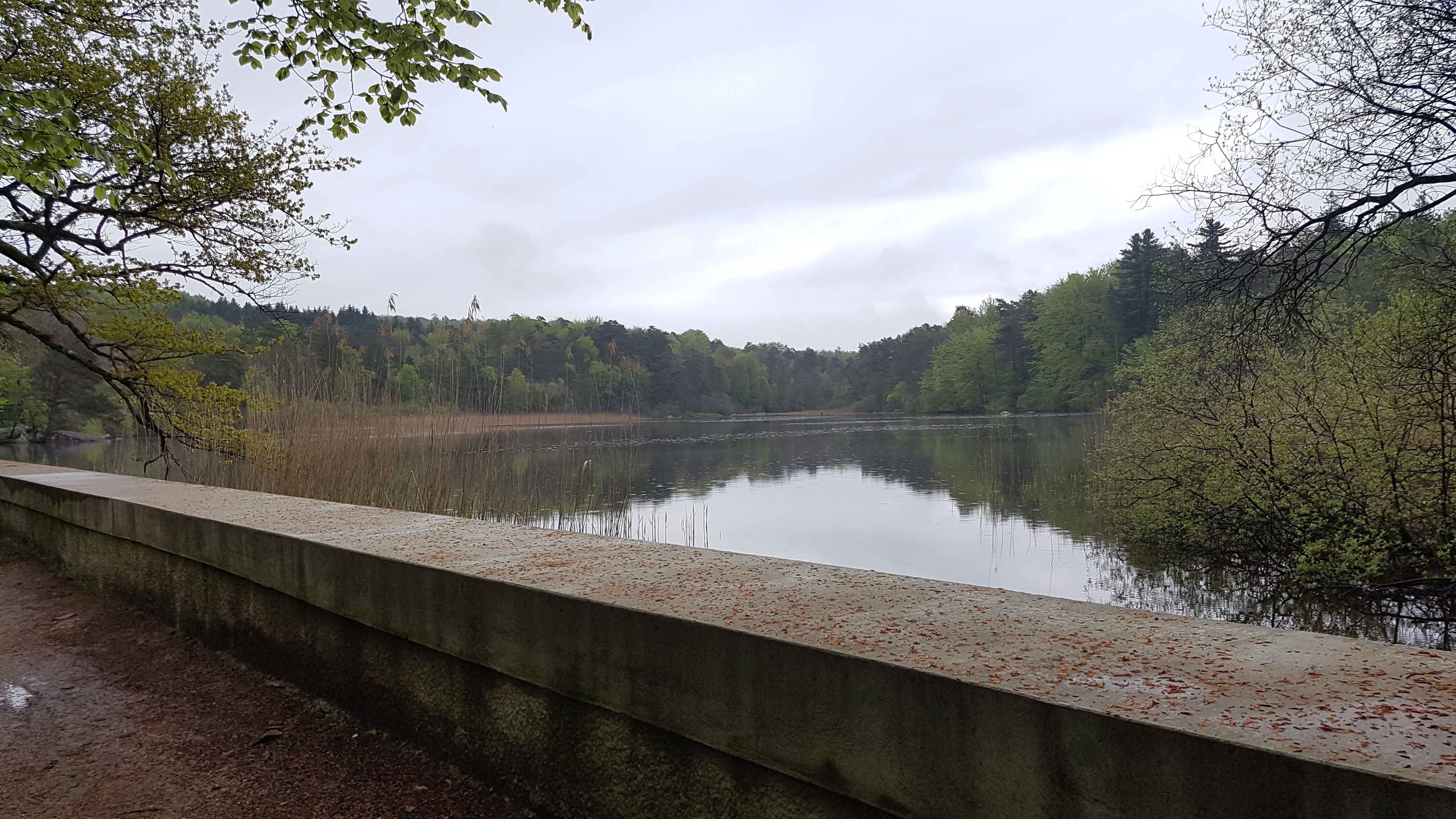 Photo n° 4 de l'avis de Geoffrey.u fait le 31/05/2019 à 02:03
