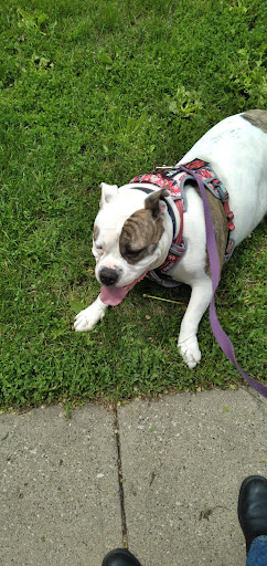 Pet Supply Store «Petco Animal Supplies», reviews and photos, 7110 Dodge St, Omaha, NE 68132, USA