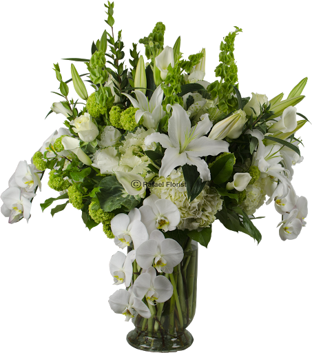 Florist «Rafael Florist», reviews and photos, 891 4th St, San Rafael, CA 94901, USA