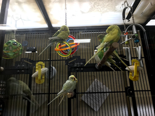 Pet Supply Store «PetSmart», reviews and photos, 1203 N Landing Way, Renton, WA 98057, USA