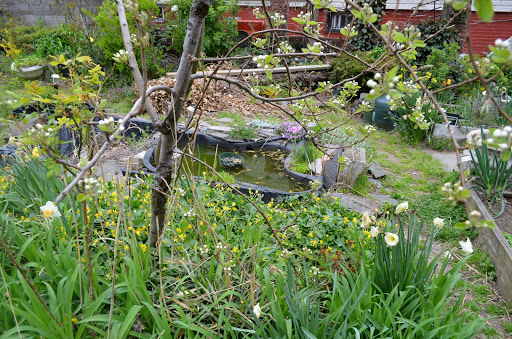 Gregorys Garden image 5