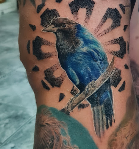 Avaliações sobre Raul Tattoo Studio em Curitiba - Estúdio de tatuagem
