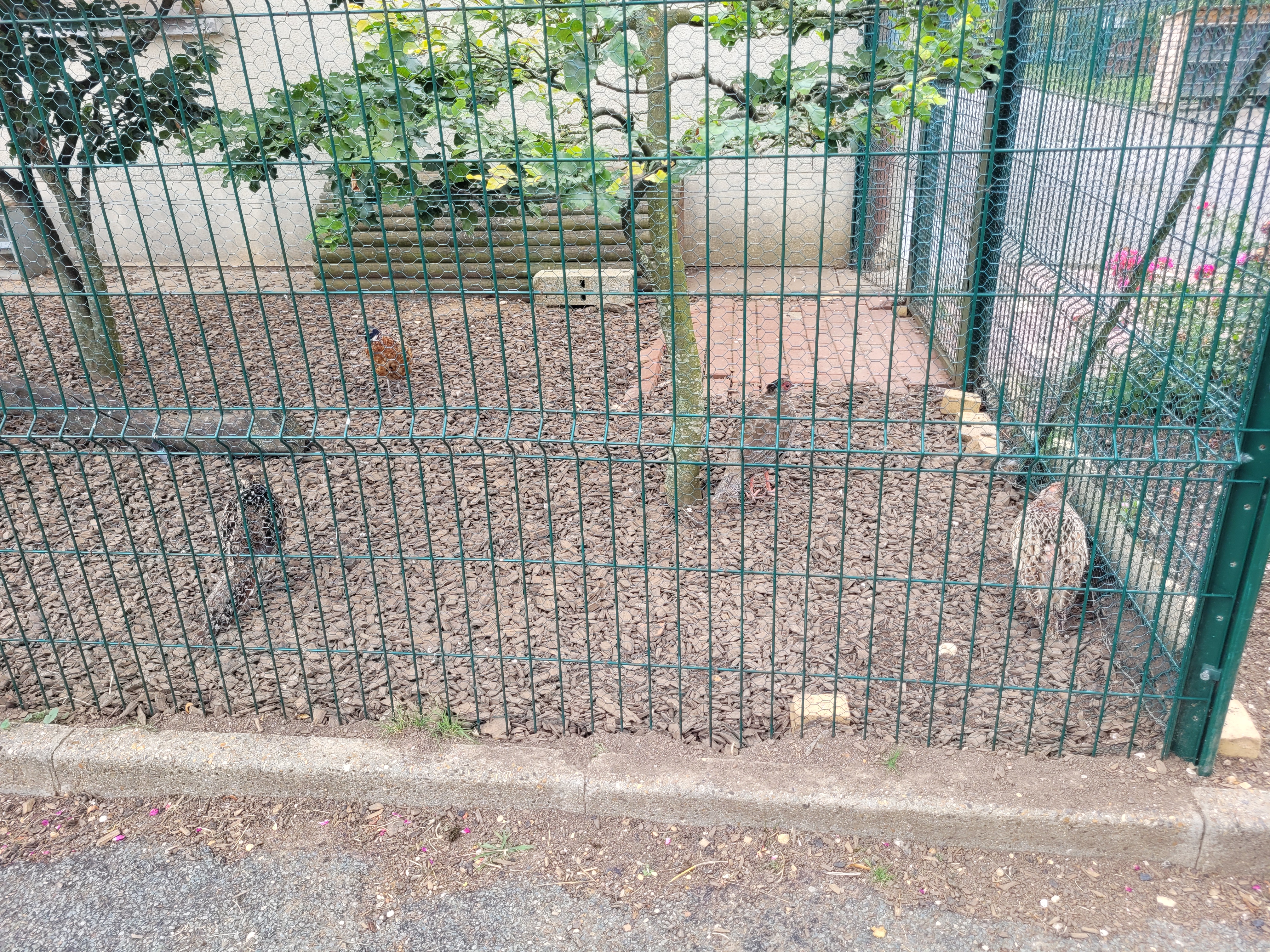 Photo n° 6 de l'avis de Mélinda. fait le 10/09/2021 à 07:22