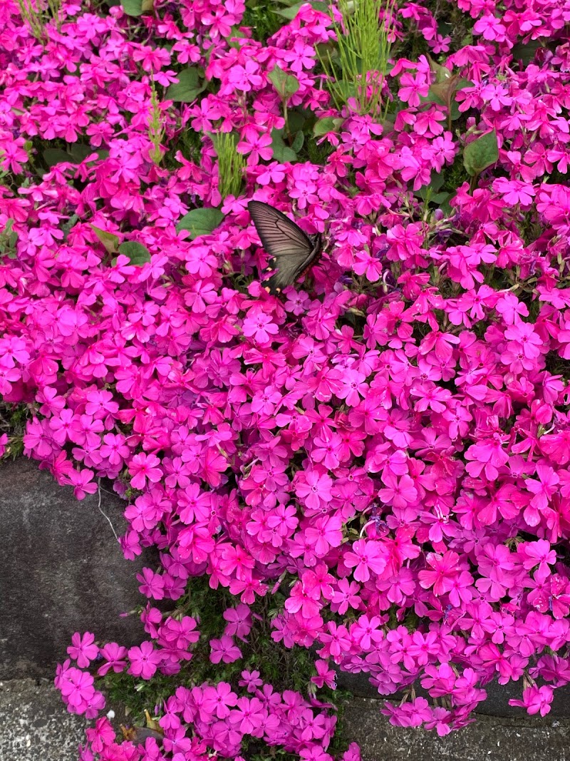 有村造園土木