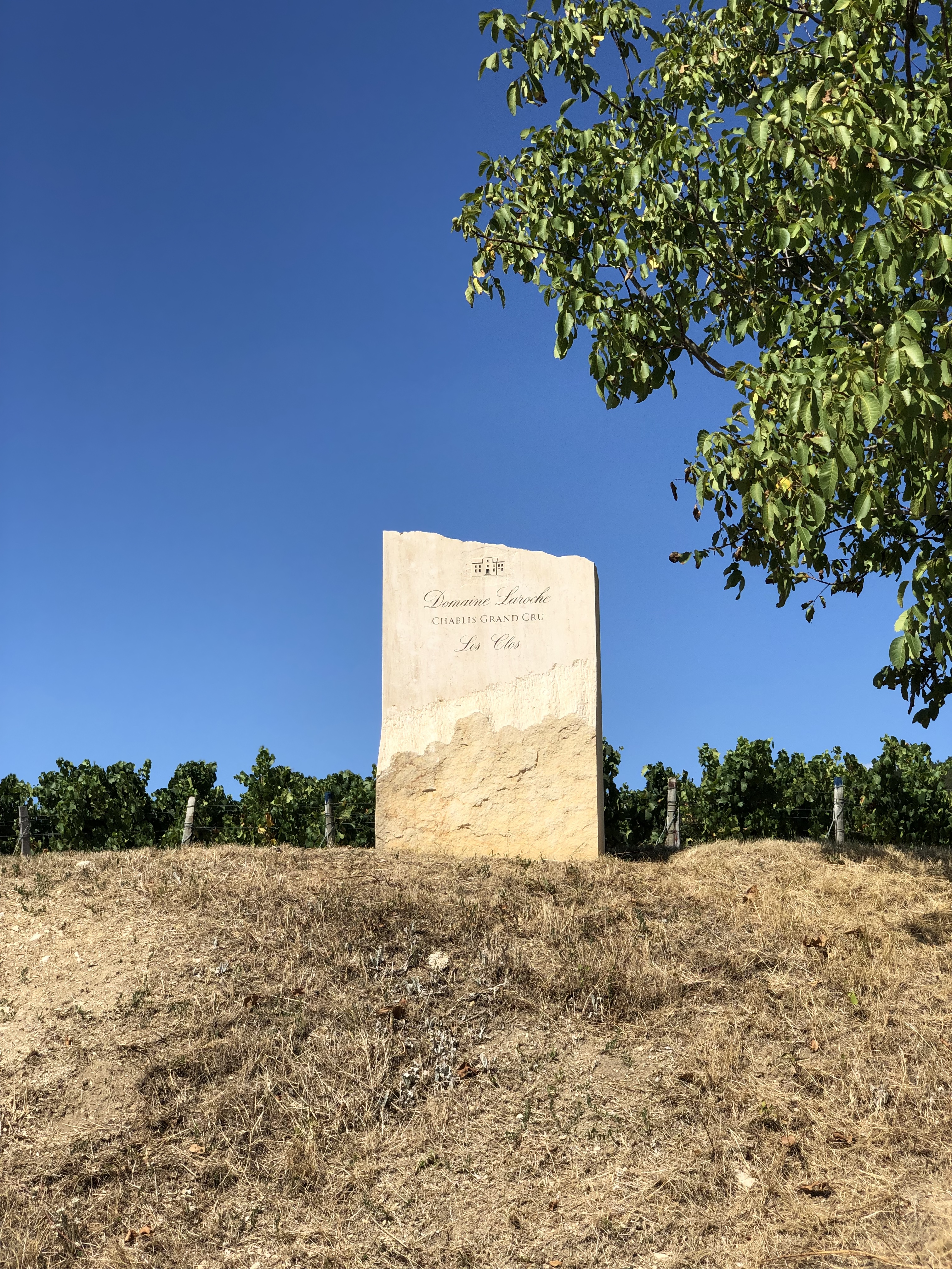 Photo n° 14 de l'avis de Alex.e fait le 22/06/2020 à 00:13