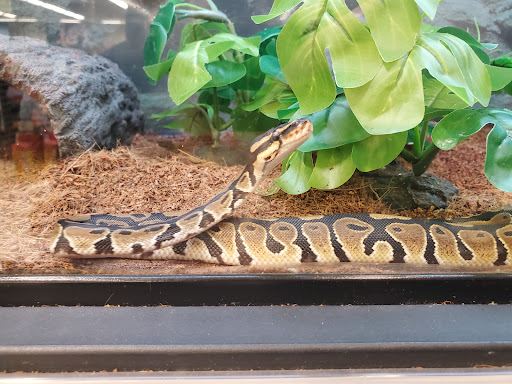 Pet Supply Store «Petco Animal Supplies», reviews and photos, 855 E Bidwell St, Folsom, CA 95630, USA