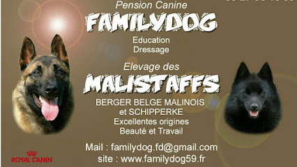Pension Canine Familydog59 et Élevage de Bergers Belges Malinois