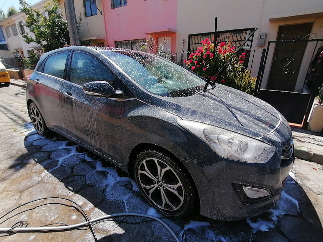 Opiniones de Lavado de vehículo a domicilio en Viña del Mar - Servicio de lavado de coches