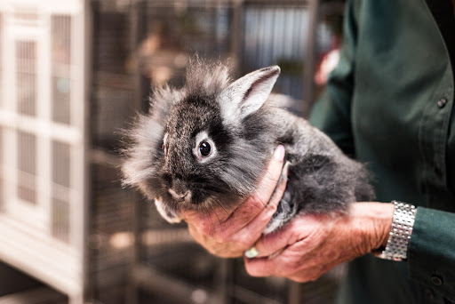 Pet Supply Store «Skyway Feed & Pet Supply Inc», reviews and photos, 677 Birch St, Paradise, CA 95969, USA