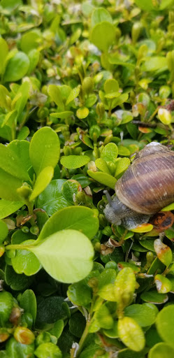 Coffee Shop «Stomping Grounds Coffee House», reviews and photos, 21825 NE Halsey St, Fairview, OR 97024, USA