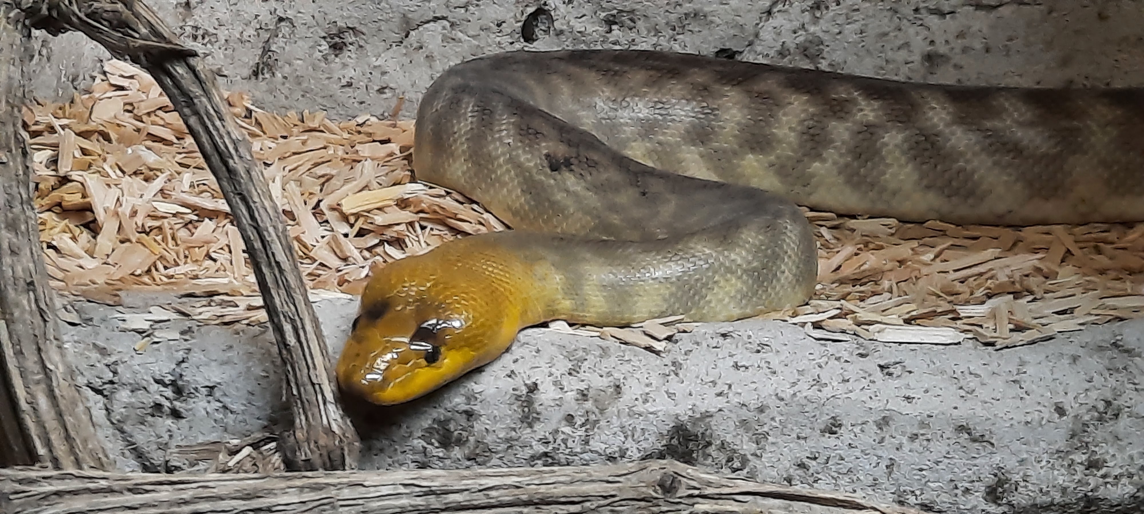 Photo n° 6 de l'avis de Hugo.i fait le 24/10/2021 à 16:24