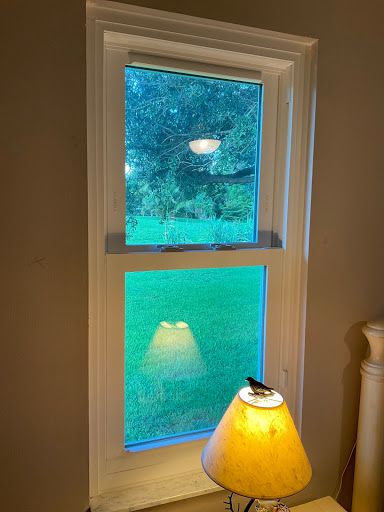 Window Installation Service «Paradise Exteriors - Hurricane Impact Windows and Doors», reviews and photos