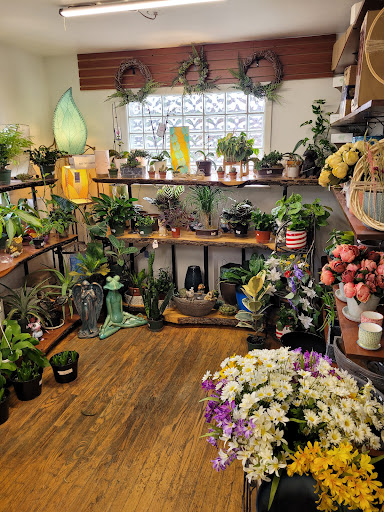 Garden Center «Royal Victorian Garden Center», reviews and photos, 10911 State Rd, Cleveland, OH 44133, USA