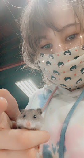 Pet Store «Pets Plus - Lansdale», reviews and photos, 555 S Broad St, Lansdale, PA 19446, USA