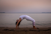 ZOE Yoga Lifestyle - Photo 9 - Car repair in Tampa, FL, Tampa