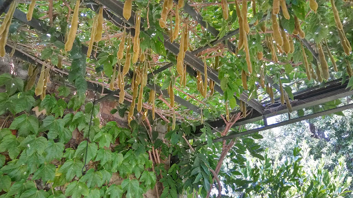 Kitchen Supply Store «Williams-Sonoma», reviews and photos, 605 Broadway, Sonoma, CA 95476, USA