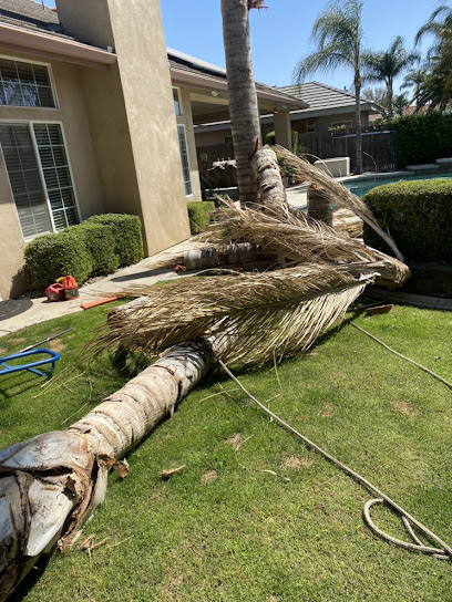 Mejia Tree and Landscaping Services