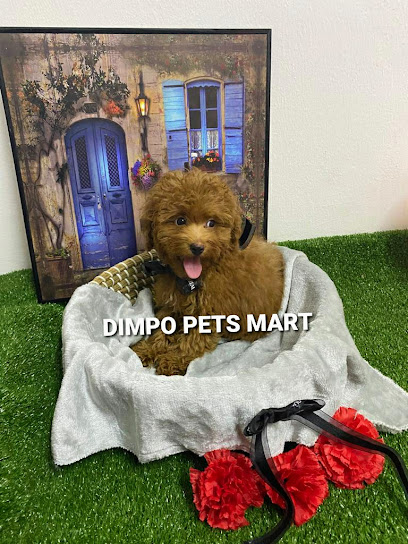 Dimpo Pets Mart (Semenyih/Selangor/Klang Valley)