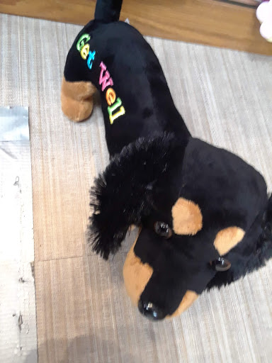 Coffee Shop «Starbucks», reviews and photos, 1600 S Andrews Ave, Fort Lauderdale, FL 33316, USA