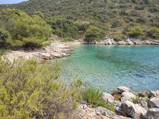 Beach Travna