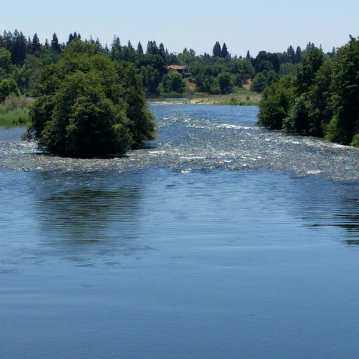 Raft Trip Outfitter «River Rat Raft Rental & Bike», reviews and photos, 4053 Pennsylvania Ave, Fair Oaks, CA 95628, USA