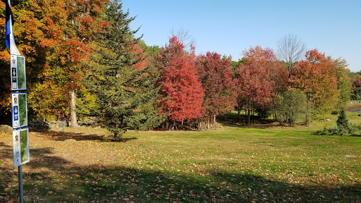 Outdoor Sports Store «Maple Hill Disc Golf», reviews and photos, 132 Marshall St, Leicester, MA 01524, USA