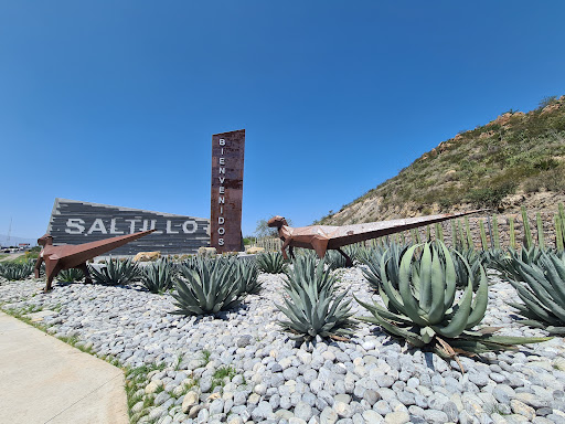 Monumento Entrada a Saltillo