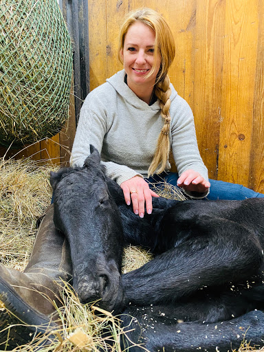 Baroque Friesian Ranch