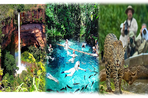 Pantanal Trip Tur image