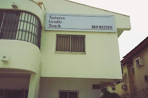Natures Gentle Touch Hair Institute | Hair Clinic in Lagos Nigeria | Hair Salon Training in Lagos image