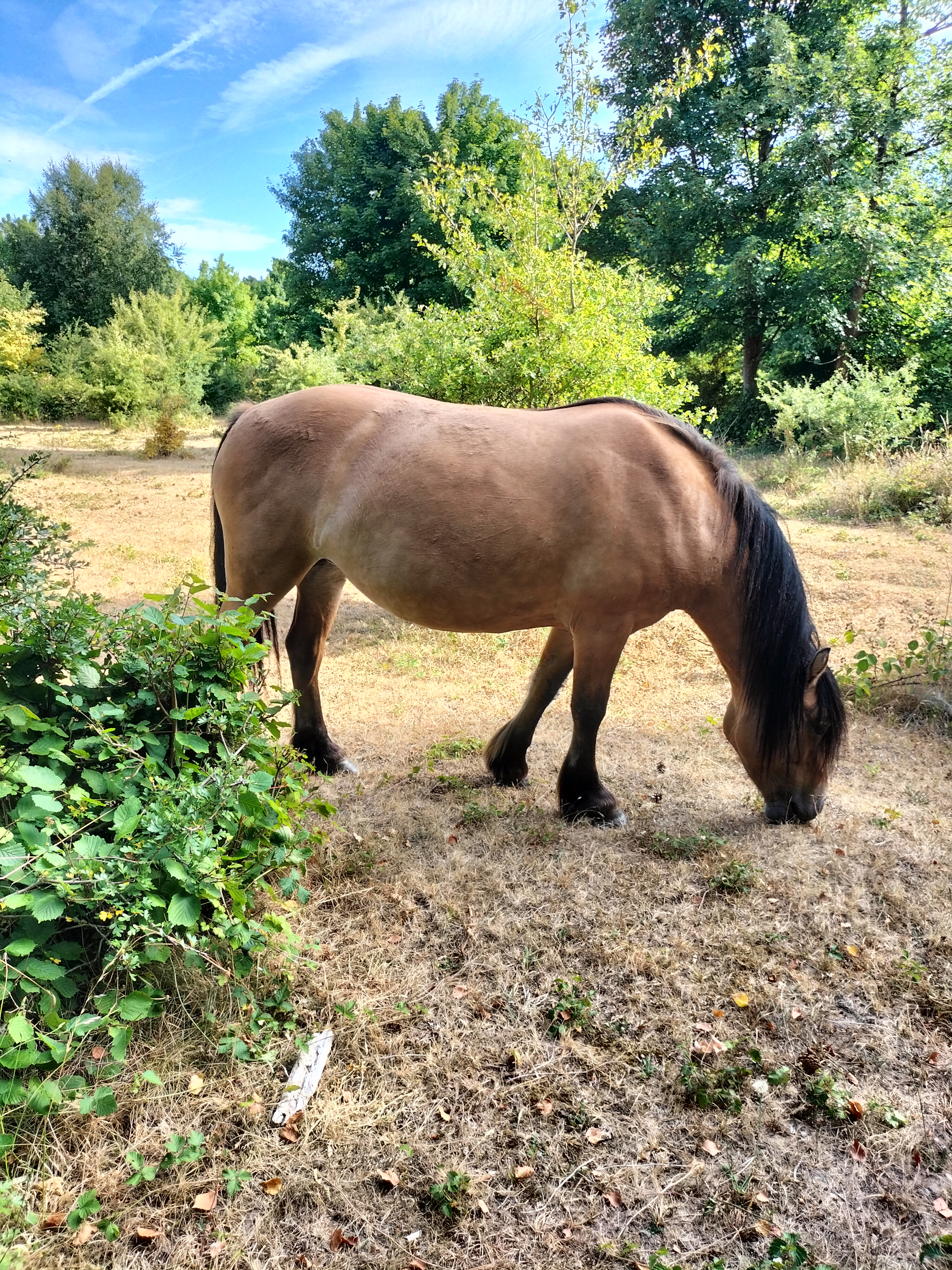 Photo n° 8 de l'avis de Magalie.u fait le 30/07/2022 à 06:08