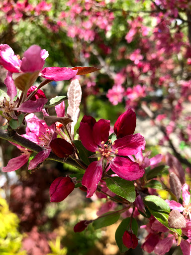 Garden Center «Stonewall Garden Center», reviews and photos, 4675 PA-447, Canadensis, PA 18325, USA