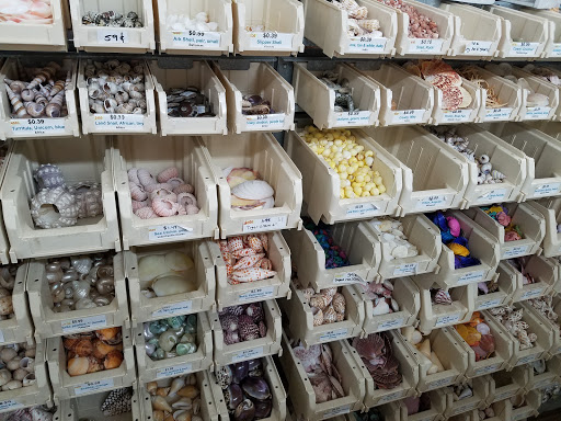Gift Shop «Sea Shell Shop», reviews and photos, 119 Rehoboth Ave, Rehoboth Beach, DE 19971, USA