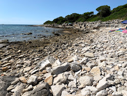Photo de Barbariga II zone sauvage