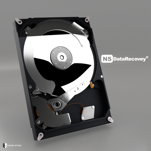 NS Data Recovery Queretaro (Recuperación de Datos)