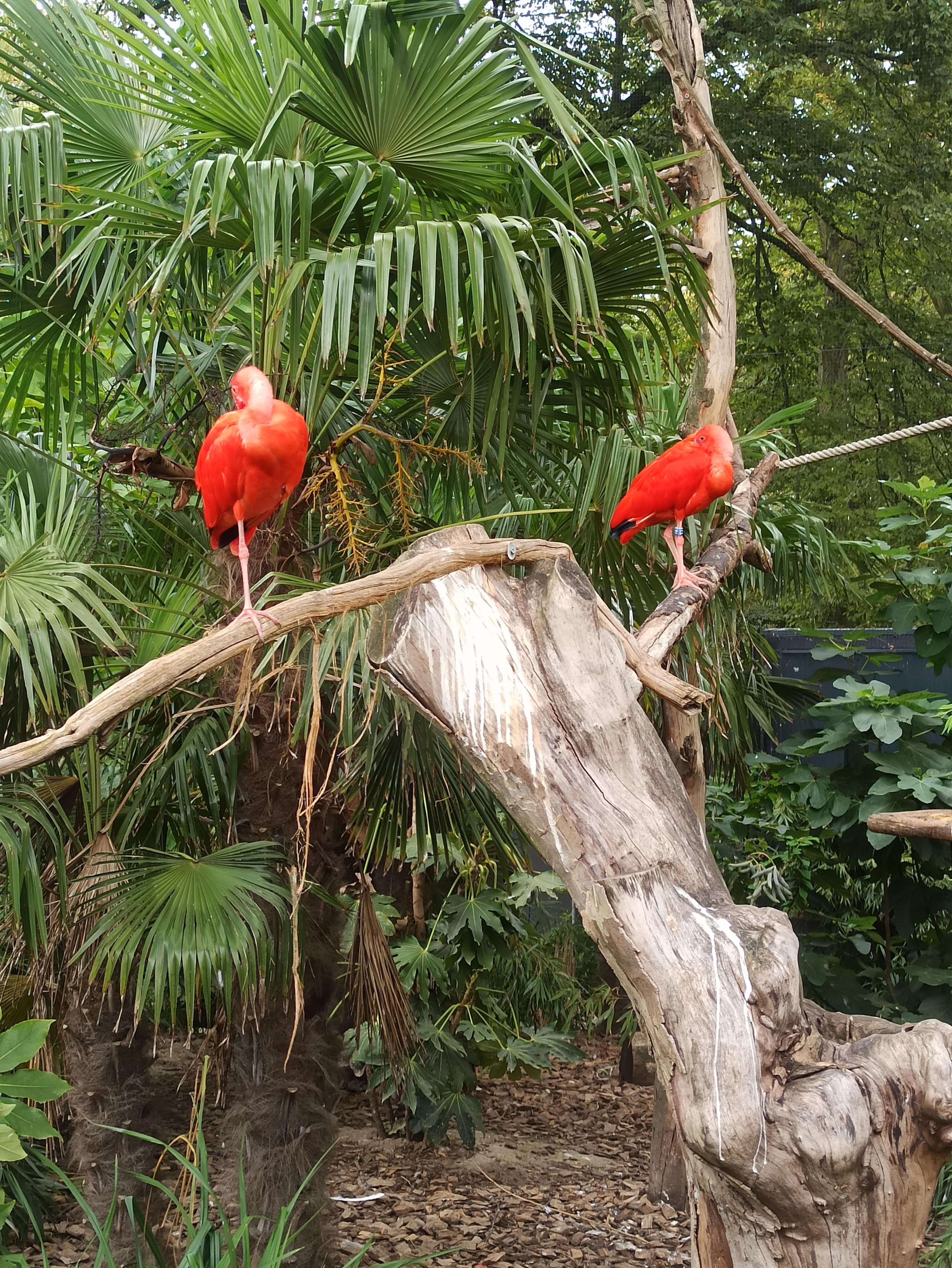 Photo n° 2 de l'avis de Audrey.r fait le 07/09/2020 à 12:19