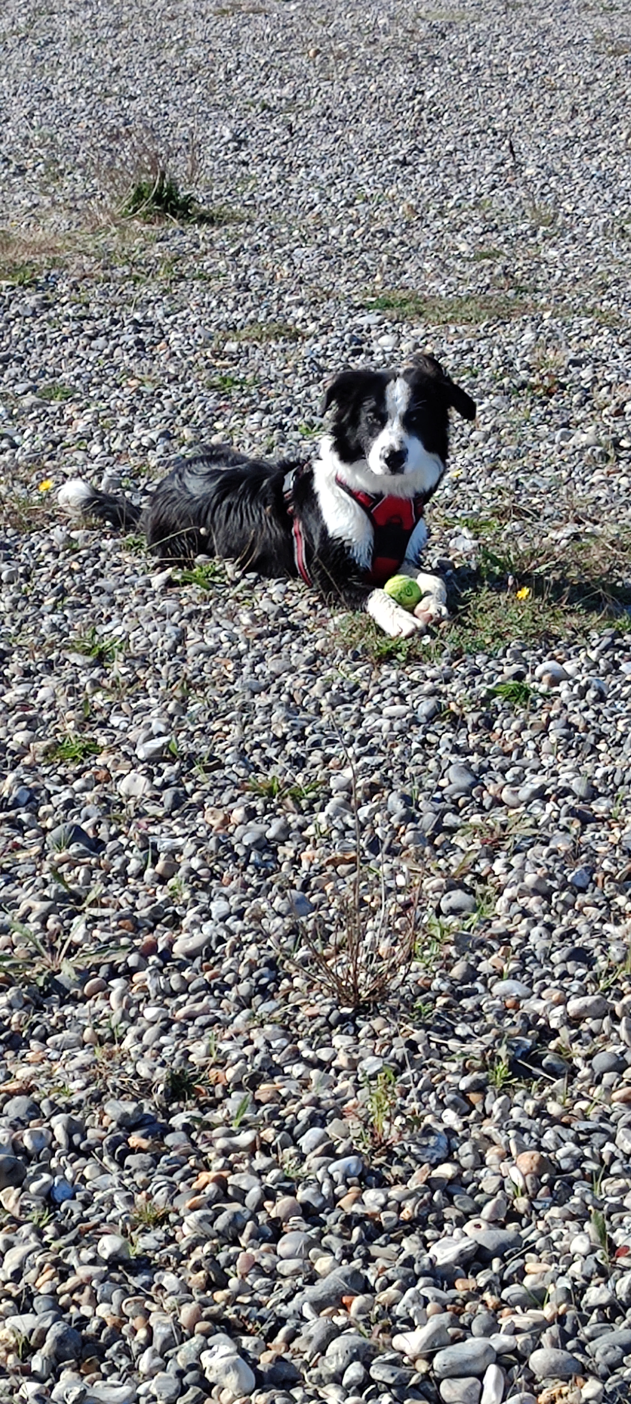 Photo n° 2 de l'avis de Roger-pierre.o fait le 22/10/2023 à 15:20