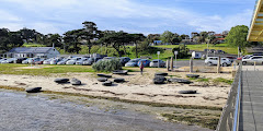 Portarlington Pier