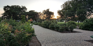 Lubbock Memorial Arboretum