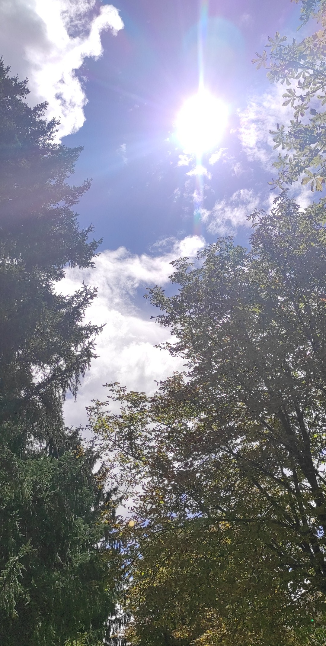 Photo n° 1 de l'avis de Carl.o fait le 30/08/2020 à 16:19
