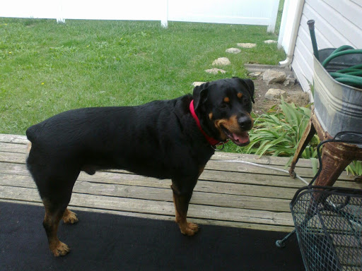 95 W Turtlecreek Union Rd, Lebanon, OH 45036, USA