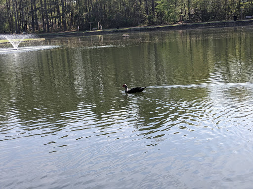 Park «Roswell Area Park», reviews and photos, 10495 Woodstock Rd, Roswell, GA 30075, USA