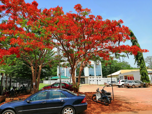 University of Nigeria, Nsukka, Nsukka - Onitsha Rd, Nsukka, Nigeria, Used Car Dealer, state Enugu