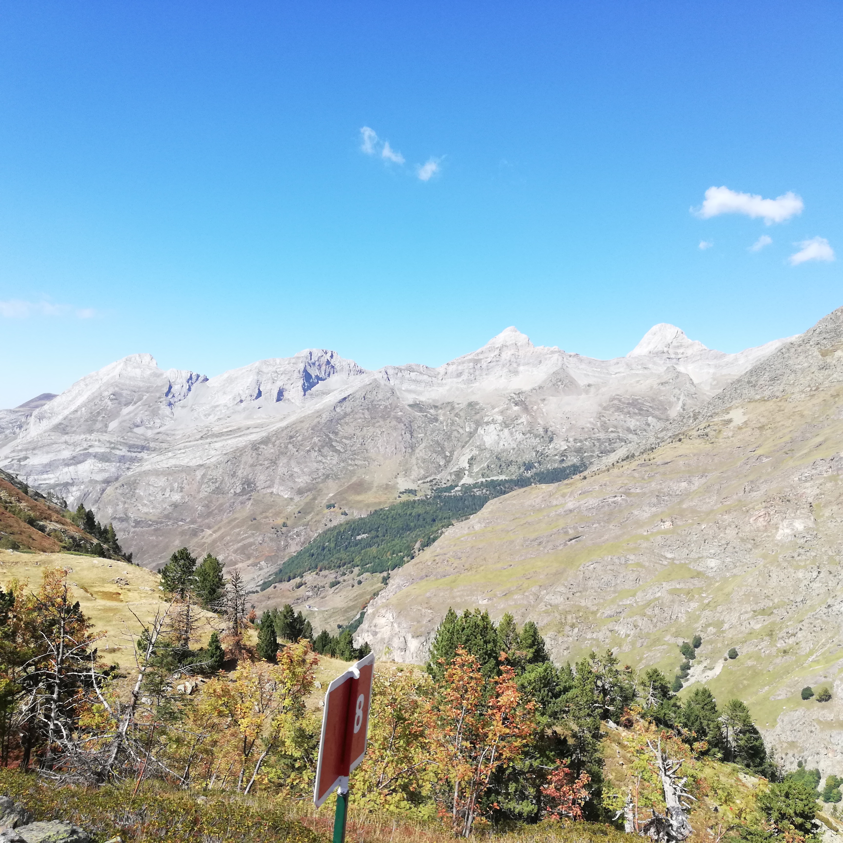 Photo n° 14 de l'avis de boileau.r fait le 29/09/2022 à 17:25