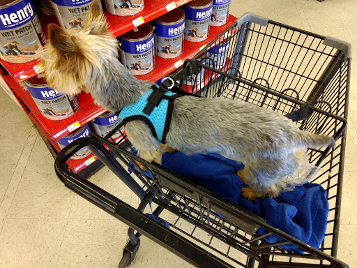 Hardware Store «DIY Home Center», reviews and photos, 2695 Cochran St, Simi Valley, CA 93065, USA